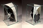 Glass Cell 2 by Artist Esmond Bingham