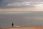 Water's Edge, Hove by Artist Billy Pepper