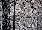 Abstracion r24 by Artist Jacek Lasa