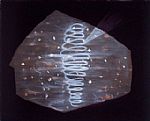 Enclosed Space by Artist Gerwyn Havard