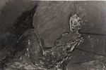 Untitled by Artist Stephen Finer
