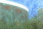 Wandsworth, Evening by Artist Penny  Glidewell