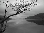 View across the lake by Artist Robert Eva