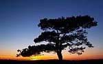 Sunset at Bratley View by Artist Peter Horner