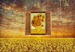 Sunflowers by Artist Blanka Ciok