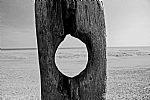 secrets of the Sea no.5 by Artist Mark Turner