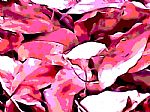 Hojas de Otoño 13 by Artist Horacio Carrena