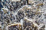  Bubblescape on Aluminium by Artist Gillian  Hunt