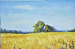 Fields of gold by Artist Yunus Ibraimov