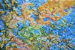 Autumnal Reflections by Artist Graham William Edden