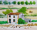 TUSCAN HARVESTER by Artist Sue Howells
