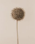 Untitled IX by Artist Chris Gatcum